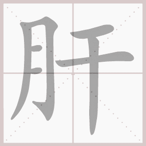 肝的笔顺,肝字笔顺