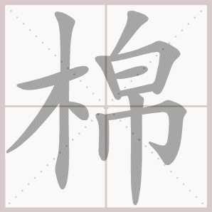 棉的笔顺,棉字笔顺